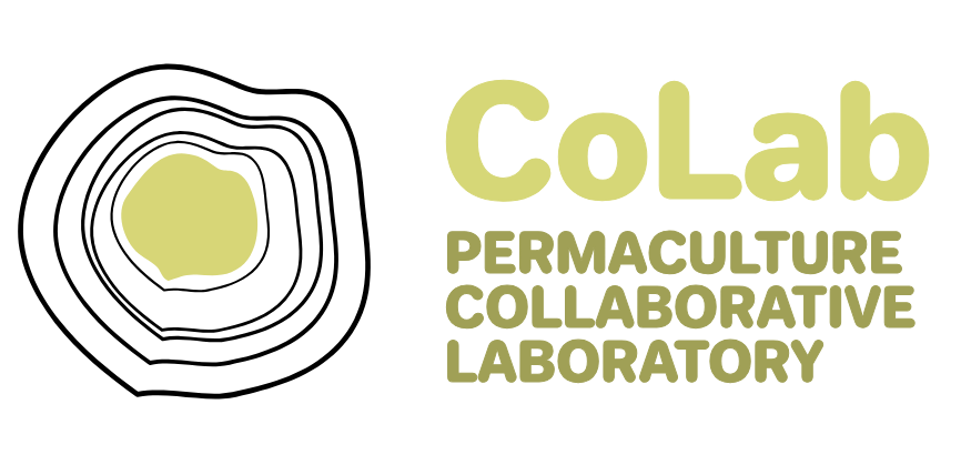 International Permaculture Collaborative Laboratory (CoLab)